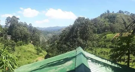 New Farmers Paradise Элла Экстерьер фото