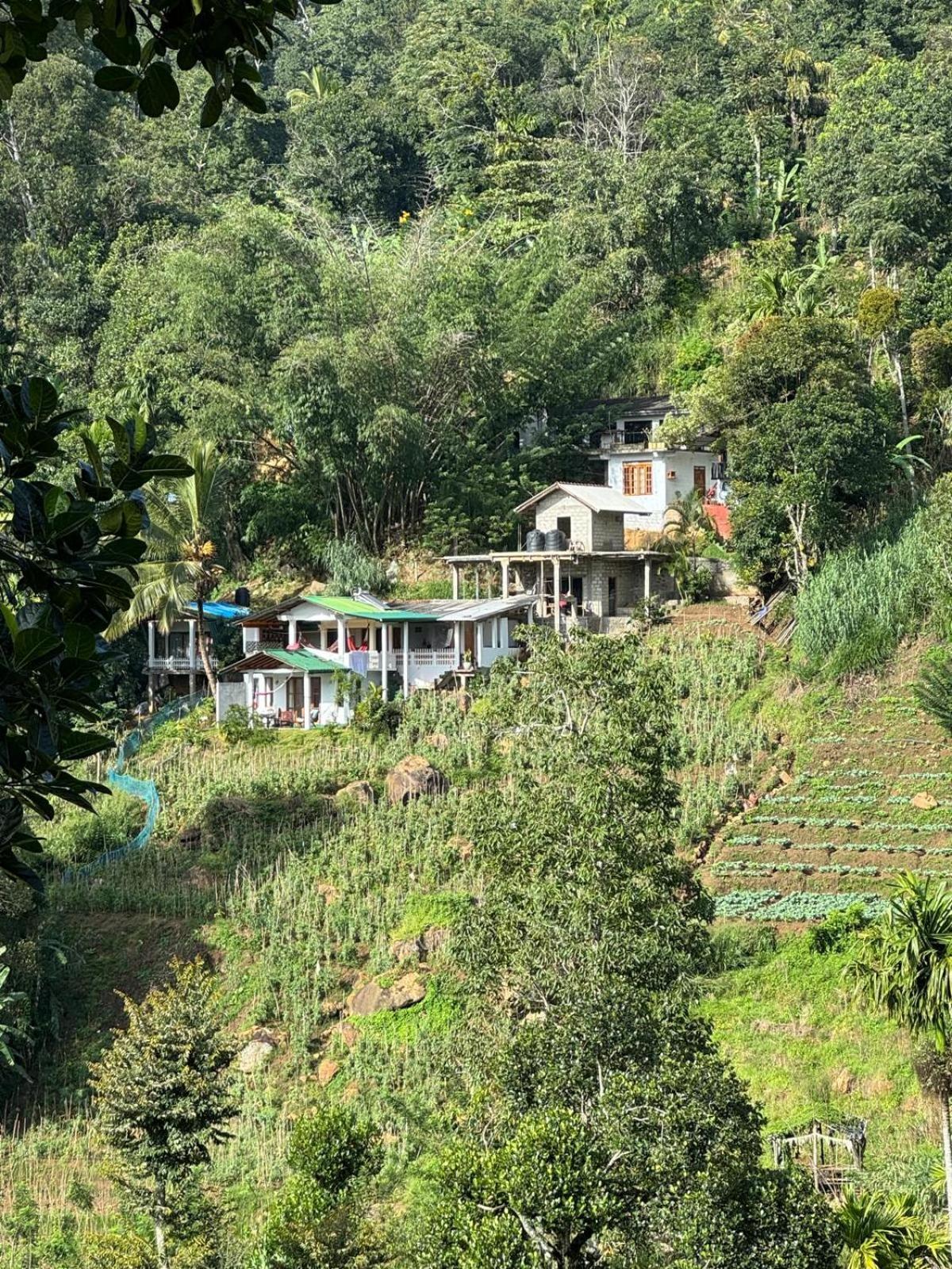 New Farmers Paradise *