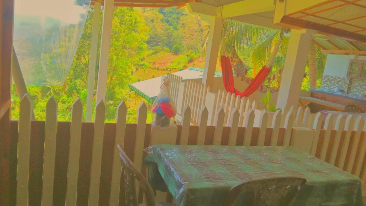New Farmers Paradise *